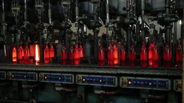 Výroba Skleněných Lahví Továrně Automatizovanou Linkou — Stock video