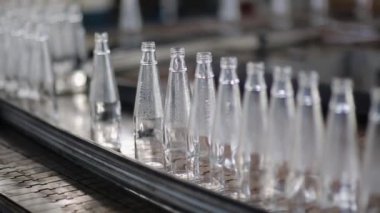 Cam şişe imalatı, taşıyıcı kemer, şişe fabrikasında bir sürü cam şişe.