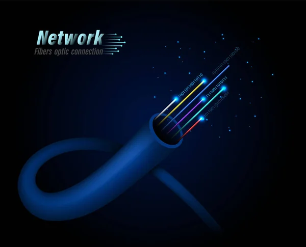 Fiber optik bağlantı — Stok Vektör