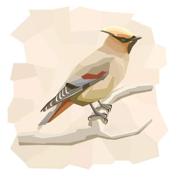 Vector ilustración simple de pájaro encerador . — Archivo Imágenes Vectoriales