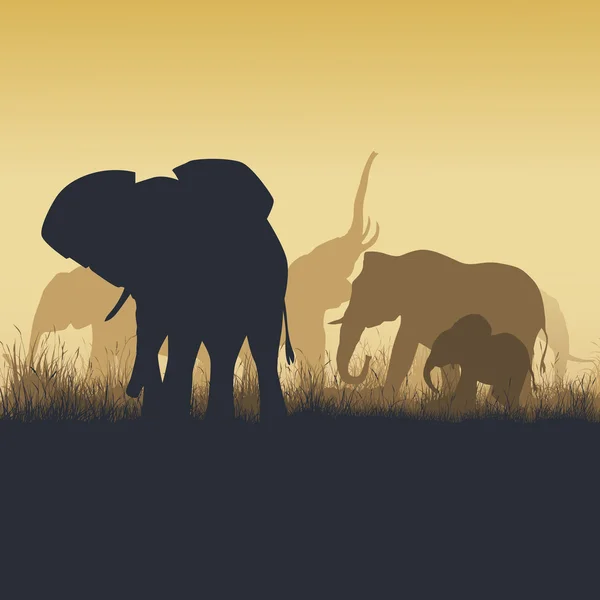 Square illustration of wild animals in sunset savanna. — ストックベクタ