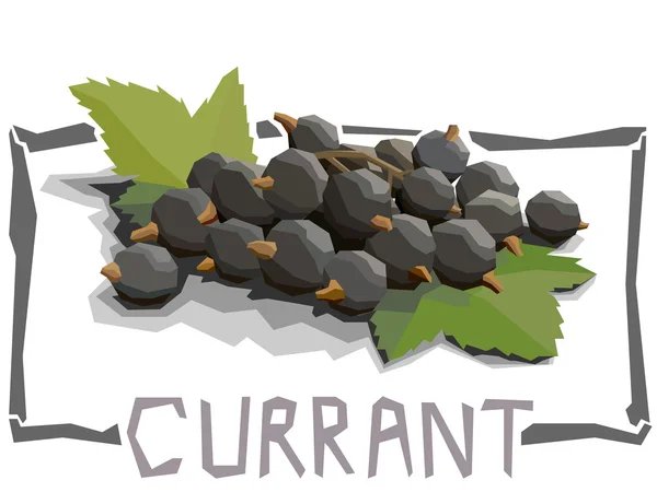 Vector simple illustration of currant. — Stock vektor