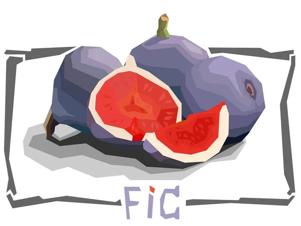 Vektor einfache Illustration von Fruchtfeigen. — Stockvektor