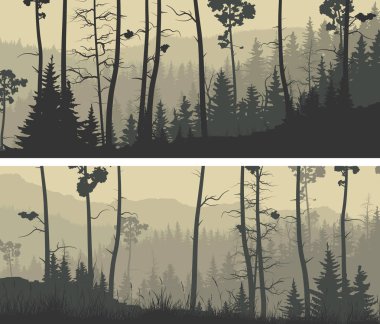 Yatay geniş afiş iğne yapraklı ağaç.