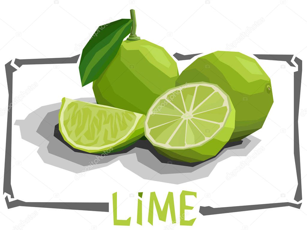 Vector simple illustration of fruit limes.