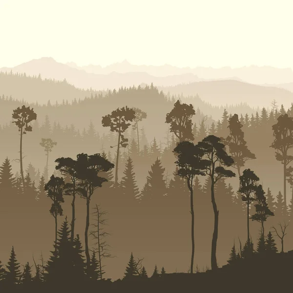 广场的雾气弥漫的森林群山的插图. — 图库矢量图片