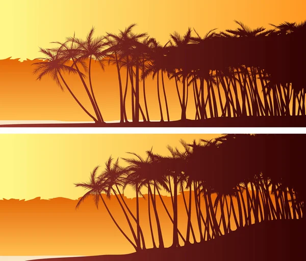 Bandeiras horizontais largas de palmeiras na praia . — Vetor de Stock