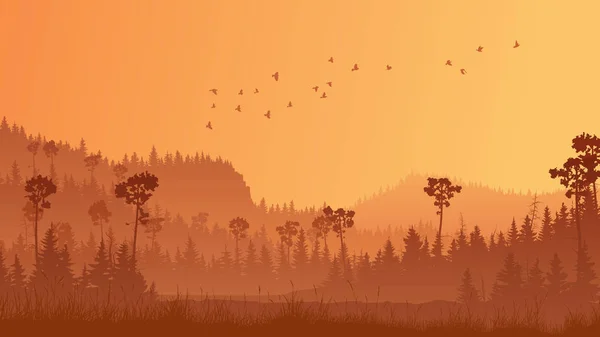 Illustration horizontale de la forêt avec herbe au coucher du soleil . — Image vectorielle
