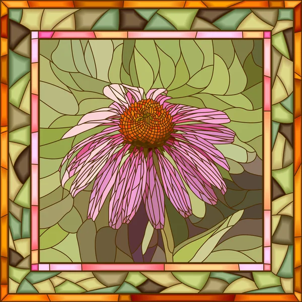 Векторная иллюстрация цветка эхинацея . — стоковый вектор