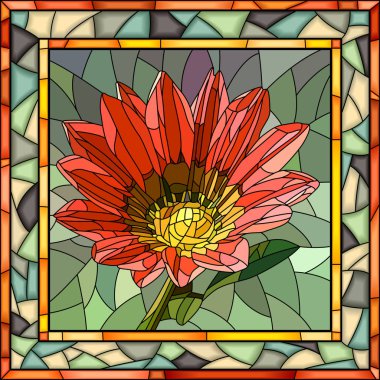 Vektör çizim çiçek Gazania.