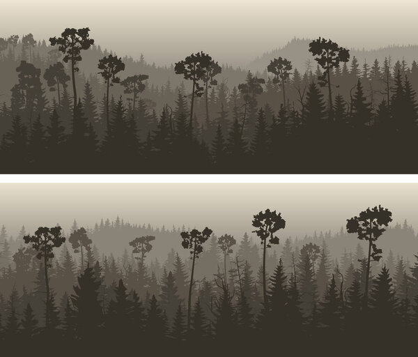 Horizontal wide banners of coniferous wood.