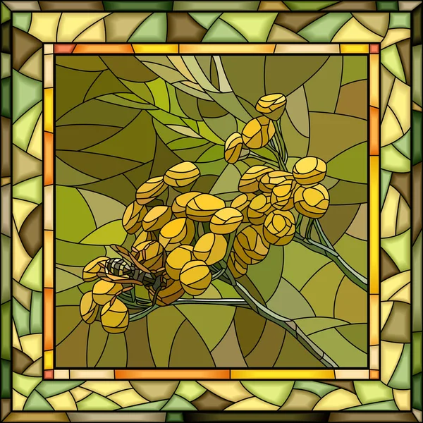 Illustrazione vettoriale di fiori di tanaceto . — Vettoriale Stock