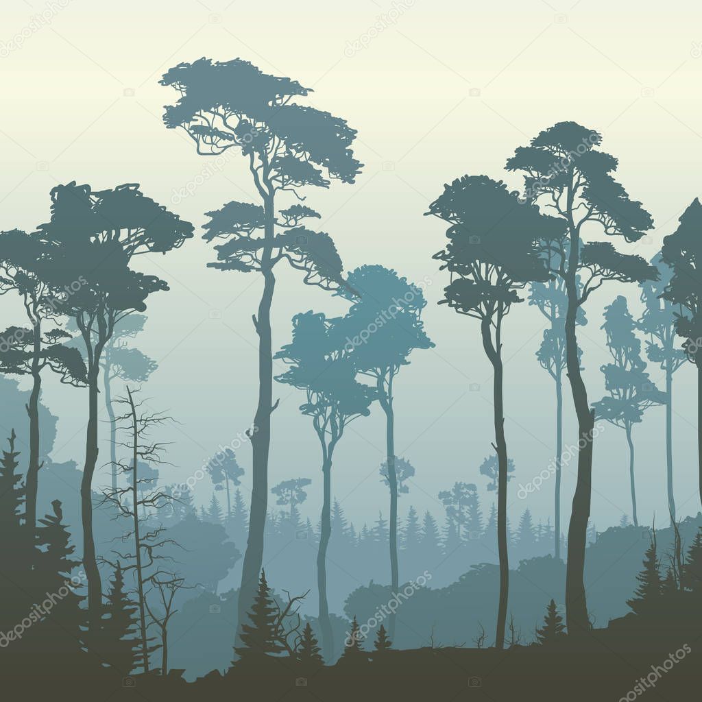 Square illustration of forest with tall pines.