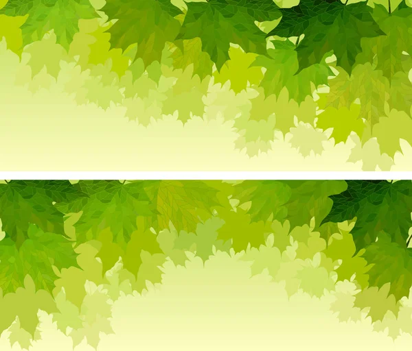 Horizontal wide banners of maple tree crown. — Stock Vector