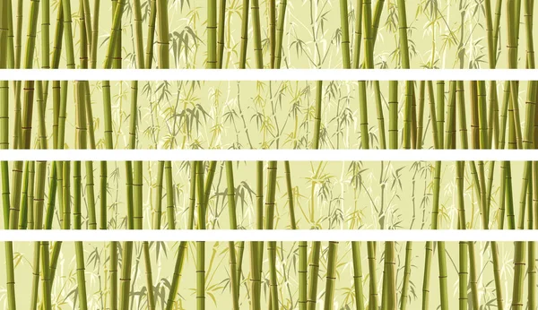 Set of horizontal banner with many bamboos. — Stock Vector