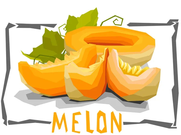 Vektor einfache Illustration von Melonen. — Stockvektor