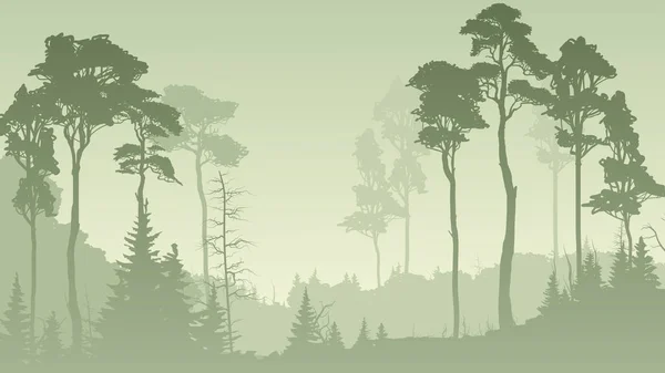 Horizontální ilustrace mlžný Les v zeleném tónu. — Stockový vektor