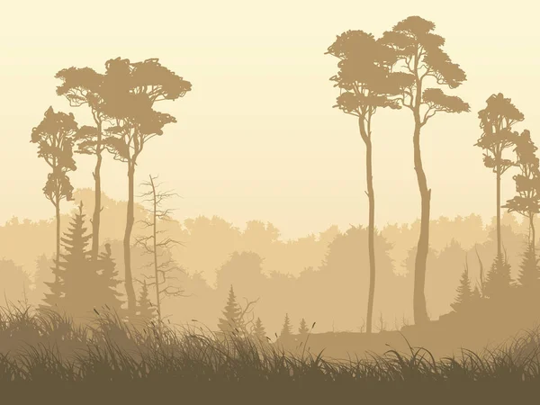 Horizontal illustration of misty forest glade. — Stock Vector