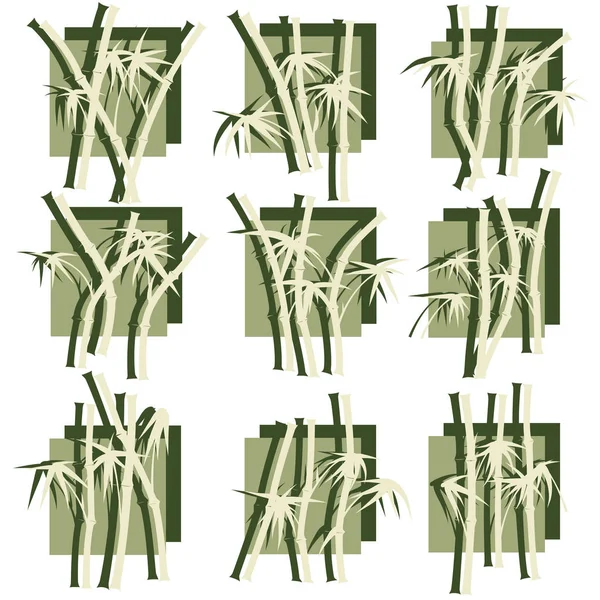 Abstract square logo green bamboo trees. — Stock Vector