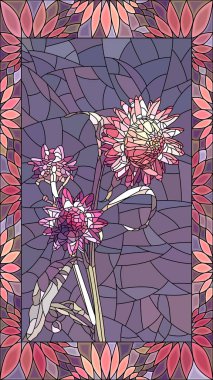 Çift pembe helichrysum (rengi bozulmayan çiçek vektör çizim).