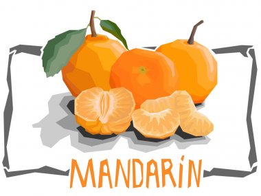 Mandalina vektör basit çizim.