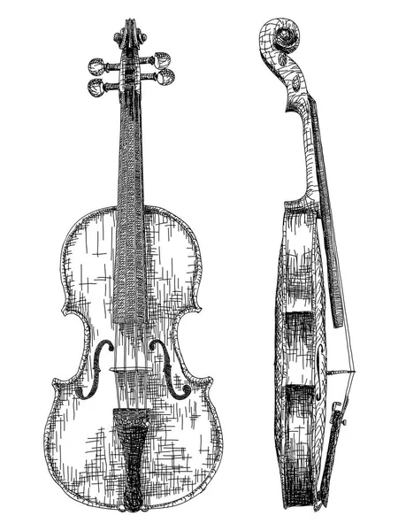 ヴァイオリンの図面のベクトル図. — ストックベクタ