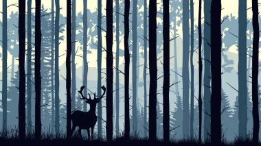 Horizontal illustration of deer in pinewood forest. clipart