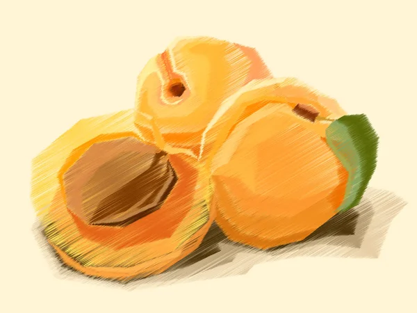 Illustration vectorielle du dessin d'abricot aux fruits . — Image vectorielle