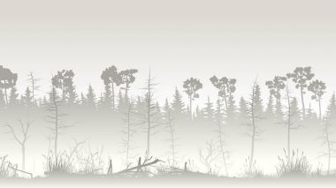 Illustration of forest with grass swamp and deadwood. clipart