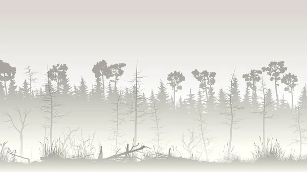 Illustration de forêt avec marais herbeux et bois mort . — Image vectorielle