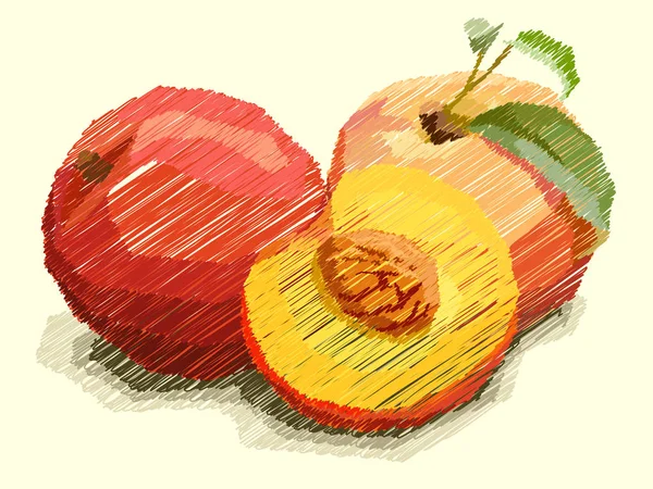 Illustration vectorielle du dessin des pêches aux fruits . — Image vectorielle