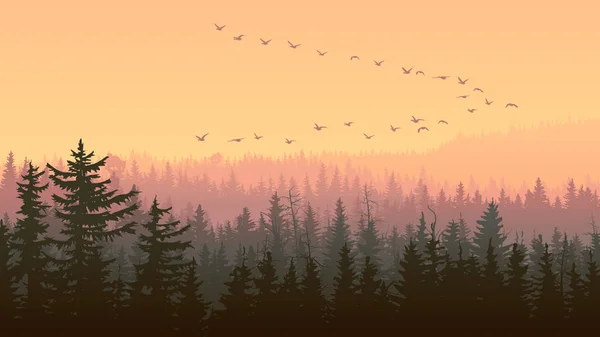 Horizontal illustration of foggy sunset forest hills. — Stock Vector