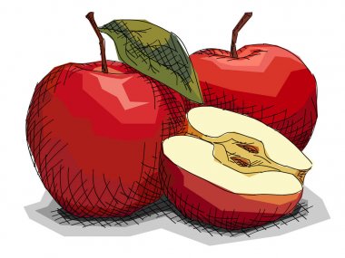 Kırmızı meyve elma çizim vektör çizim.