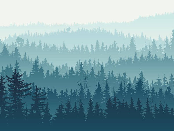 Горизонтальная иллюстрация голубого хвойного леса
.