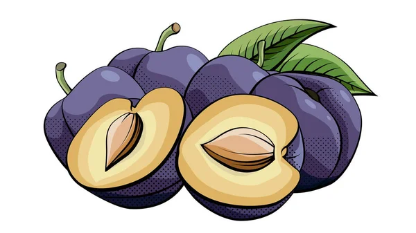 Illustration vectorielle des prunes sur blanc . — Image vectorielle