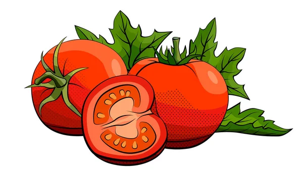 Illustration vectorielle des tomates sur blanc . — Image vectorielle