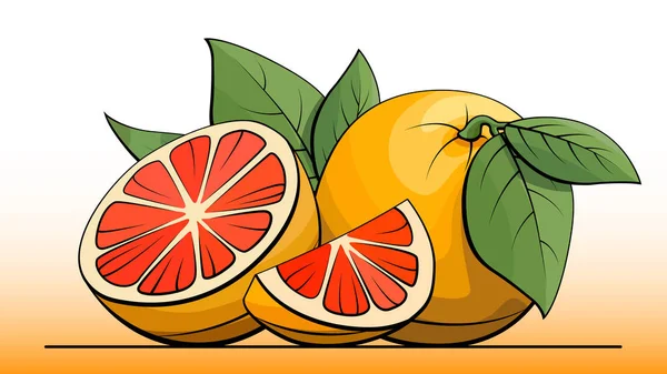 Ilustración vectorial del pomelo en una línea . — Vector de stock