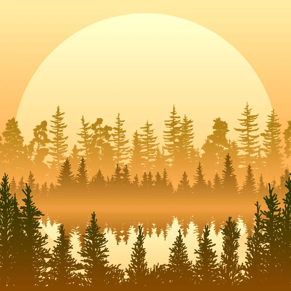 Square Illustration Lake Middle Misty Coniferous Forest Sunset — Stock Vector