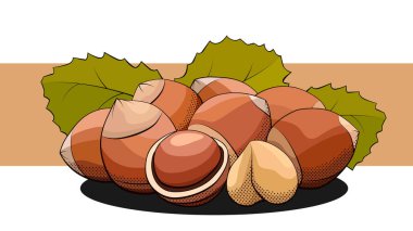 Etiketinde fındık olan bir grup fındık için vektör basit illütü.