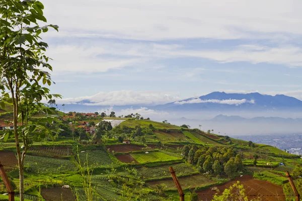 Beautiful Indonesian Landscape — Stock Photo, Image