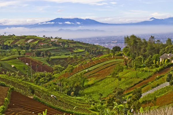 Hermoso paisaje indonesio — Foto de Stock
