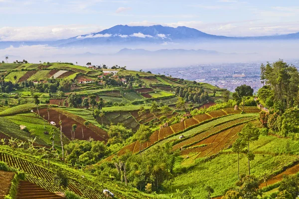 Hermoso paisaje indonesio — Foto de Stock