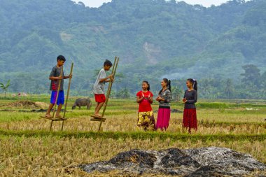 children at play in their village clipart