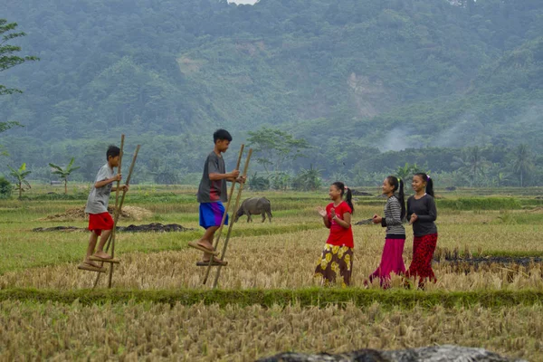 Kinderen spelen in hun dorp — Stockfoto