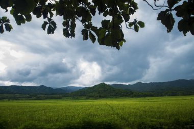 Jogya Endonezya, kültürel, tarım, turizm