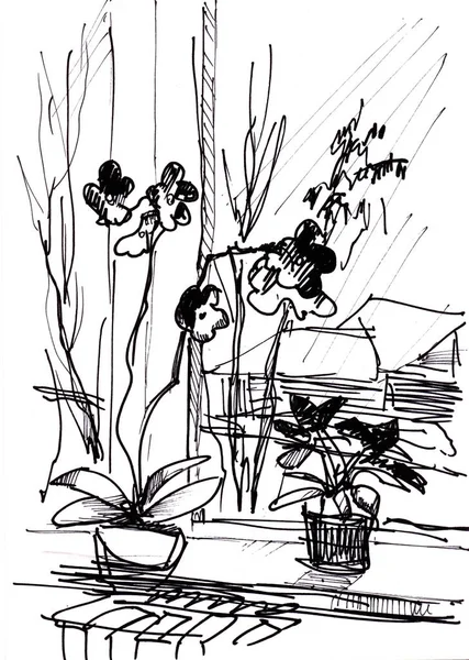 Instant Sketch, Blumen — Stockfoto
