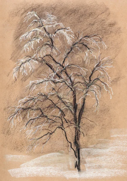 Tree in hoarfrost — Stock Photo, Image