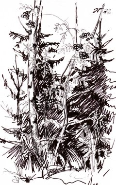 Anlık kroki, peyzaj