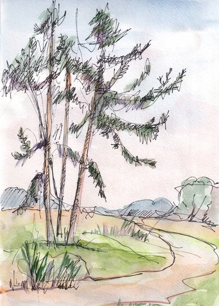 Watercolor landscape, pines — Stock Photo, Image