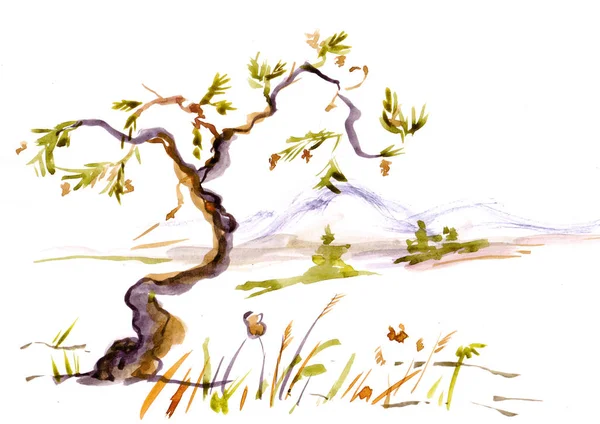 Yalnız ağaç. Augest